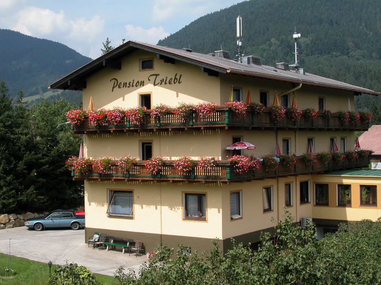 Haus Mieten Puchberg Am Schneeberg